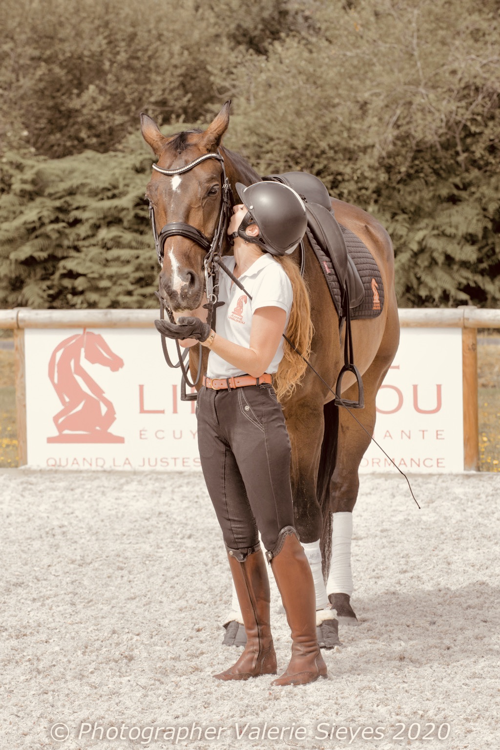 Votre cheval et vous